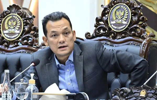 Anggota Komisi XI DPR RI, Martin Manurung (Dok : Ist).