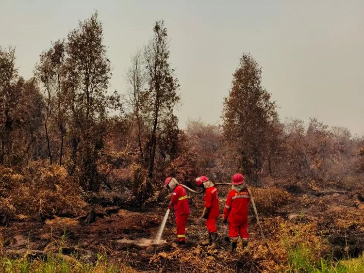 Pemadaman Karhutla di Kalimantan (Dok : Int).