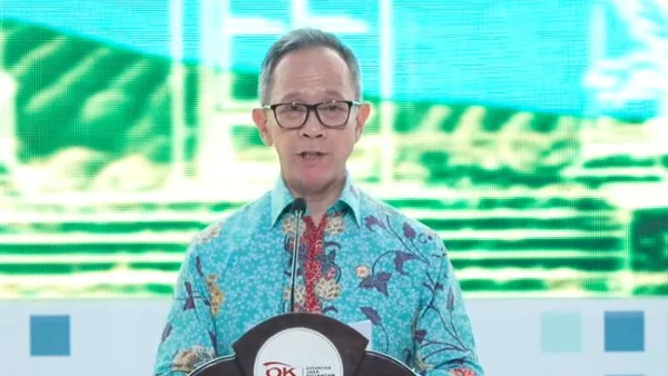 Ketua Dewan Komisioner OJK Mahendra Siregar (Dok : Int).