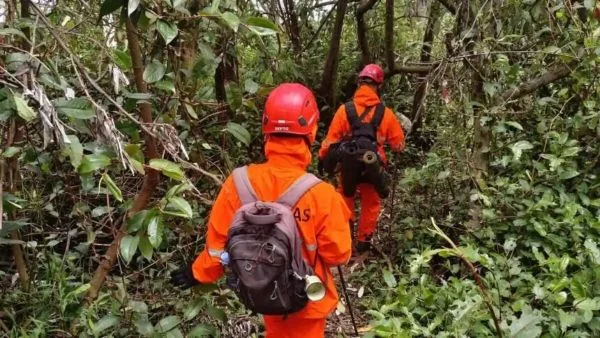 Tim SAR saat melakukan pencarian pendaki yang hilang di Gunung Selamet (Dok : Ist).