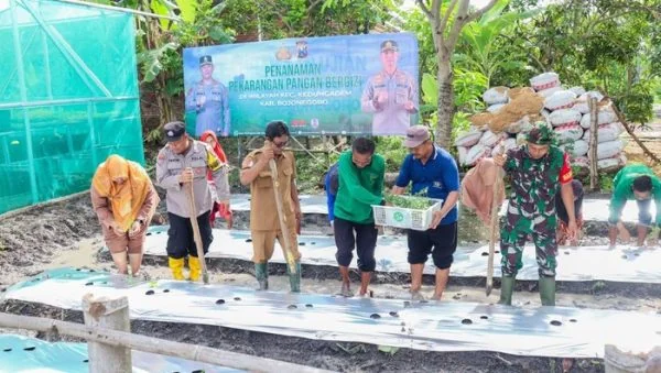Pemanfaatan lahan kosong di Kedungadem untuk program ketahanan pangan. DOC: (IST)