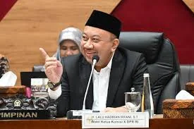 Wakil Ketua Komisi X DPR RI dari Fraksi Partai Kebangkitan Bangsa (PKB)