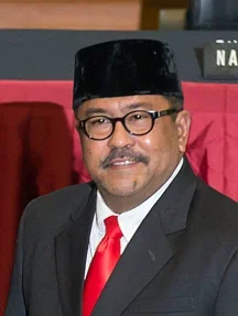 Perjalanan Hidup dan Karier Rano Karno (Int)