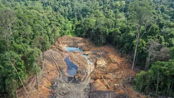 Potret kawasan hutan rusak akibat adanya penambangan ilegal (Dok : Int).