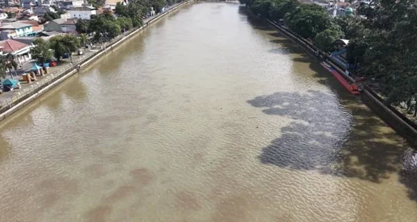 Sungai Cisadane tercemar cairan pestisida (Dok : Int).