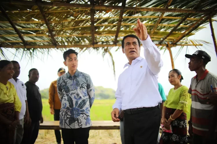 Tinjau Lapangan, Gibran dan Amran Siapkan Terobosan Pertanian NTT