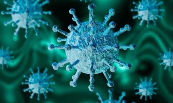 Ilustrasi virus (Dok : int)