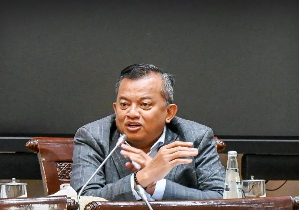 Anggota Komisi XI DPR RI Mulyadi (Dok : Ist).