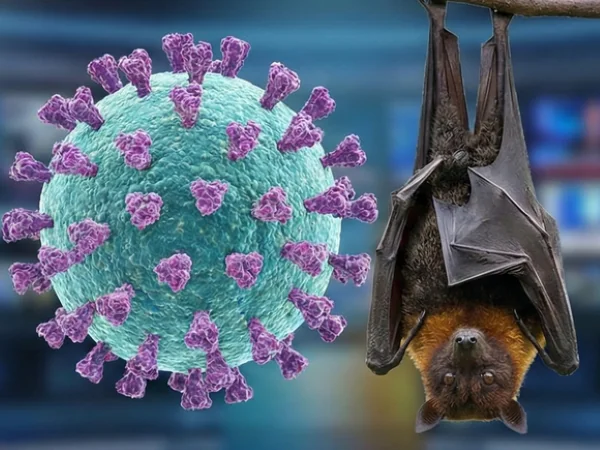 Ilustrasi Virus Nipah (Dok : Int).