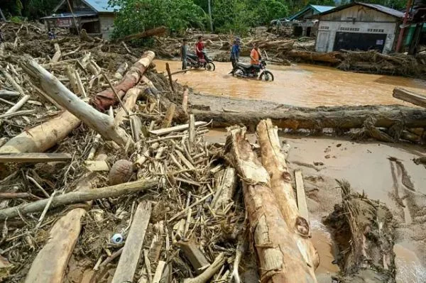 Material kayu yang terbawa banjir hingga memperparah bencana banjir di Tapanuli, Sumatera Utara (Dok : Int).