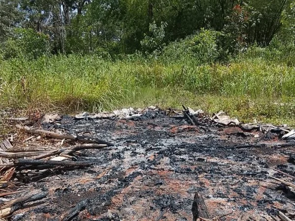 Penyerangan terhadap keluarga Esau Kamuyen, ketua marga Kamuyen, di Kampung Nakias, Distrik Ngguti, Merauke (Dok : Ist).