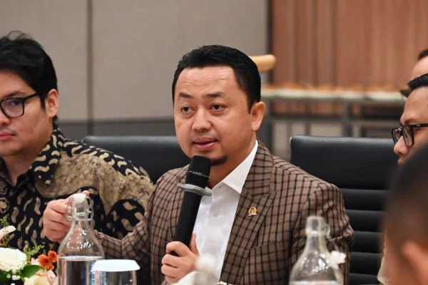 Ketua Badan Kerja Sama Antar-Parlemen (BKSAP) DPR RI, Syahrul Aidi Maazat (Dok : Ist).