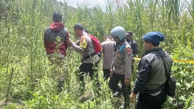 Tim gabungan yang terdiri dari TNI, Polri, dan petugas TNBTS sendiri berhasil menemukan empat titik ladang ganja di lereng tersembunyi Gunung Semeru./Ist