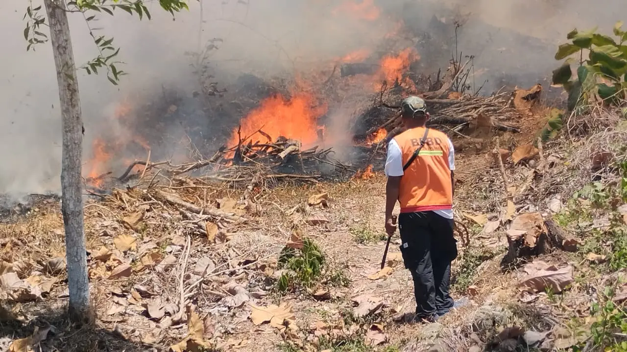 etugas gabungan berusaha memadamkan lahan seluas 6.05 hektare yang terbakar di Kabupaten Banyumas (Dok: Ist).