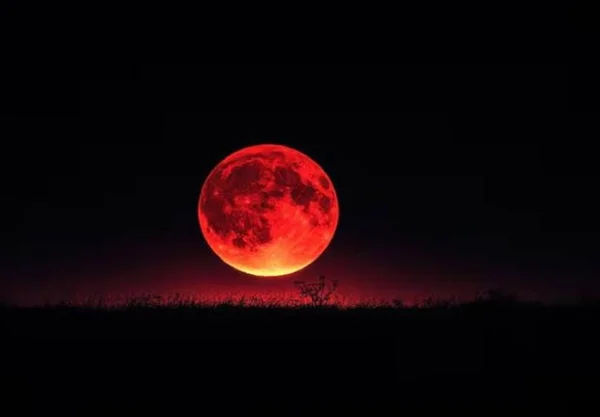 Ilustrasi gerhana bulan total (Dok : Int).